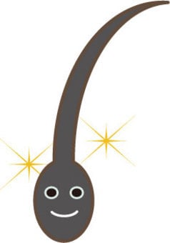 あなたに似合うスタイル診断、頭皮のお悩み診断します 育毛方法やご自宅でできるマッサージ方法も診断いたします。 イメージ1