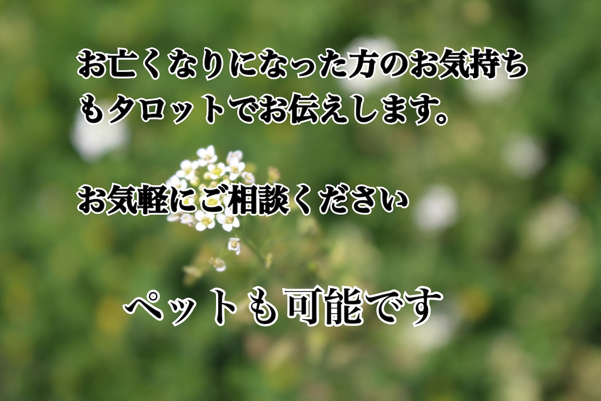 初回⭐︎あなたの恋愛♡仕事⭐︎人間関係占います ご祈祷と縁結び付！いい方向に導きます！ イメージ2