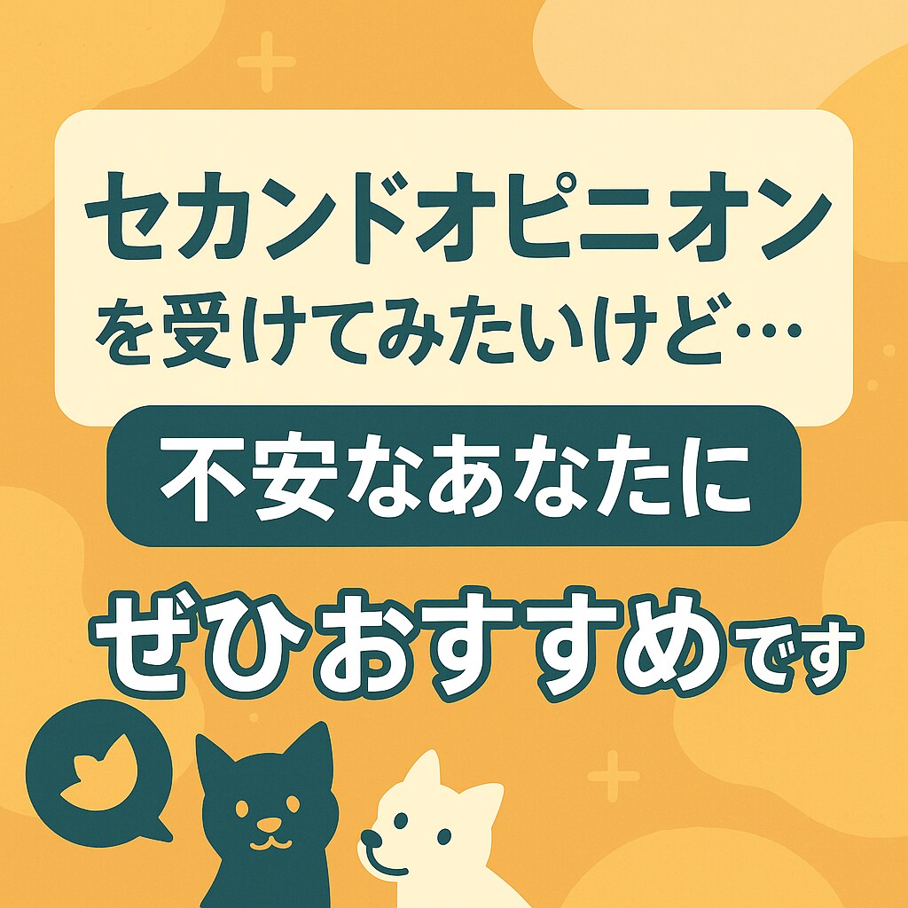 セカンドオピニオンの前の情報整理を一緒にします 獣医師が第三者視点で意見・情報提供します イメージ2