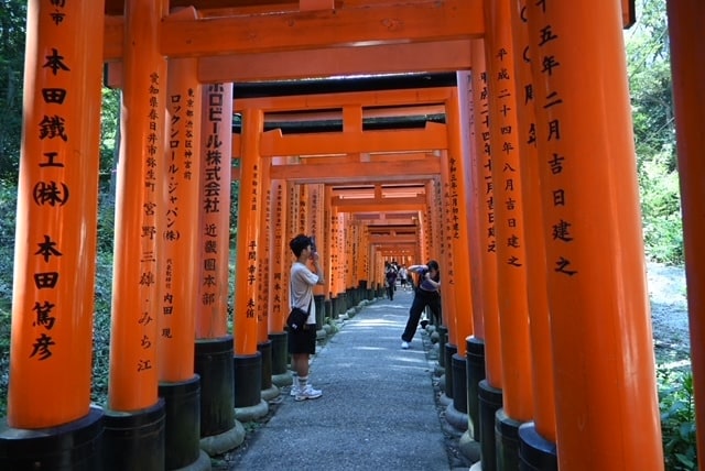神社仏閣には相性があります 貴方が望む人生に導いてくださる神社仏閣を霊視でお伝えします☆ イメージ3