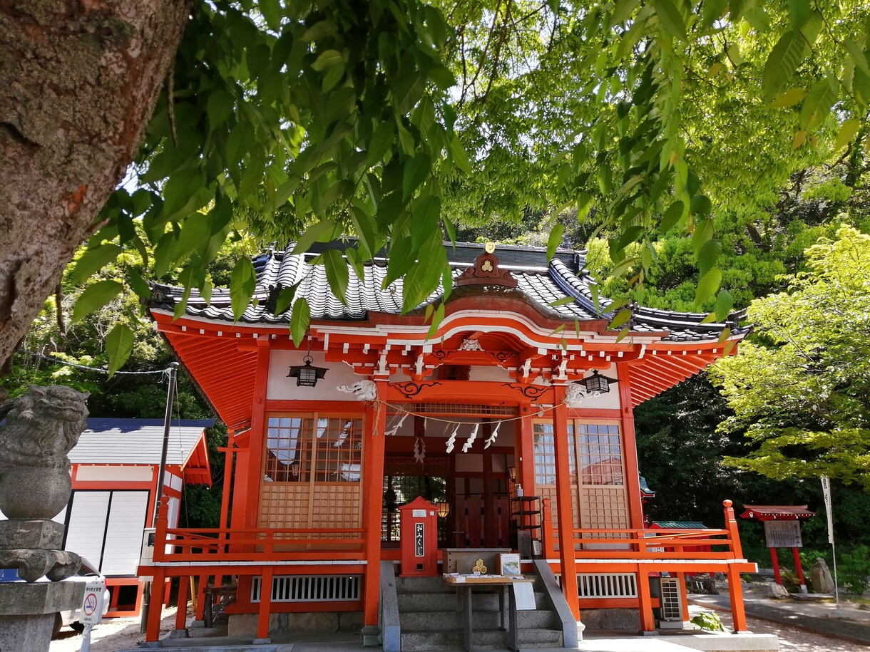 神社写真 撮影代行いたします 八百万の神々のことだまを切り撮る一枚を！ イメージ3