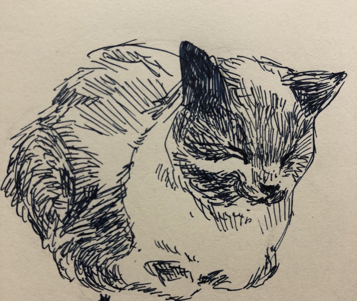ペットと飼い主さんの似顔絵描きます 大切な子との思い出を絵に残しませんか？ イメージ4