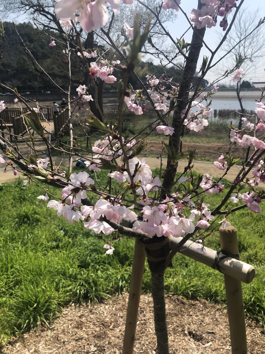 色々と話をされたい方、話し相手になります どんなことに対しても打ち明けてくれれば明るい生活が待っている イメージ1