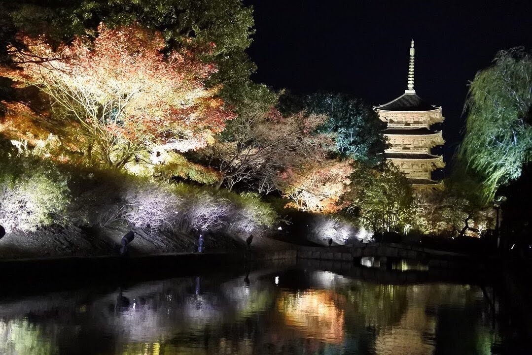 京都観光マスターがオリジナル旅行プランを提案します 19年間、京都観光サイトを運営してきた京都人オススメプラン イメージ6