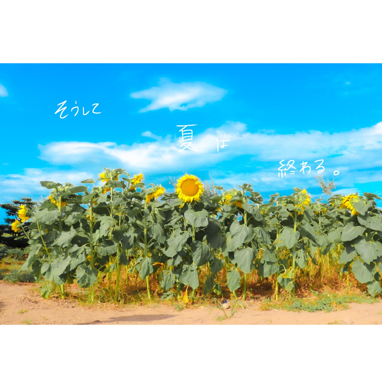 お好きなフレーズお書きします 手書きの温かさを感じてください イメージ4