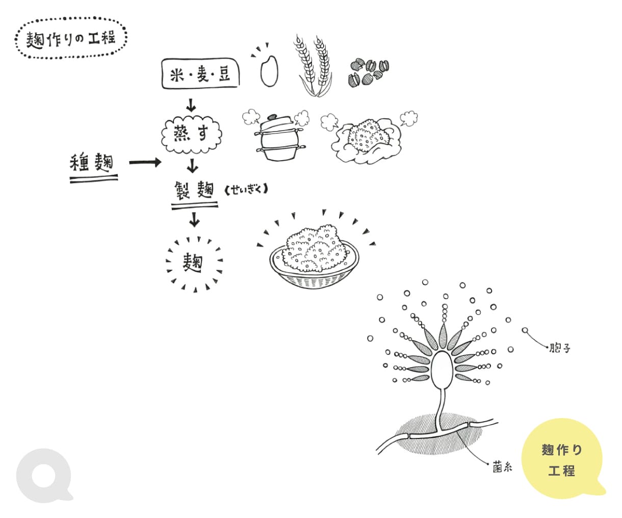 人物・動物・食べ物etc/ 手描きの挿絵を描きます わかりやすく、伝わりやすい！あたたかなイラストお届けします イメージ10
