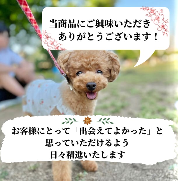 なぜ犬はインターホン吠えするのか。治し方を教えます たったの"5ステップ"で、犬のインターホン吠えを克服しよう イメージ2