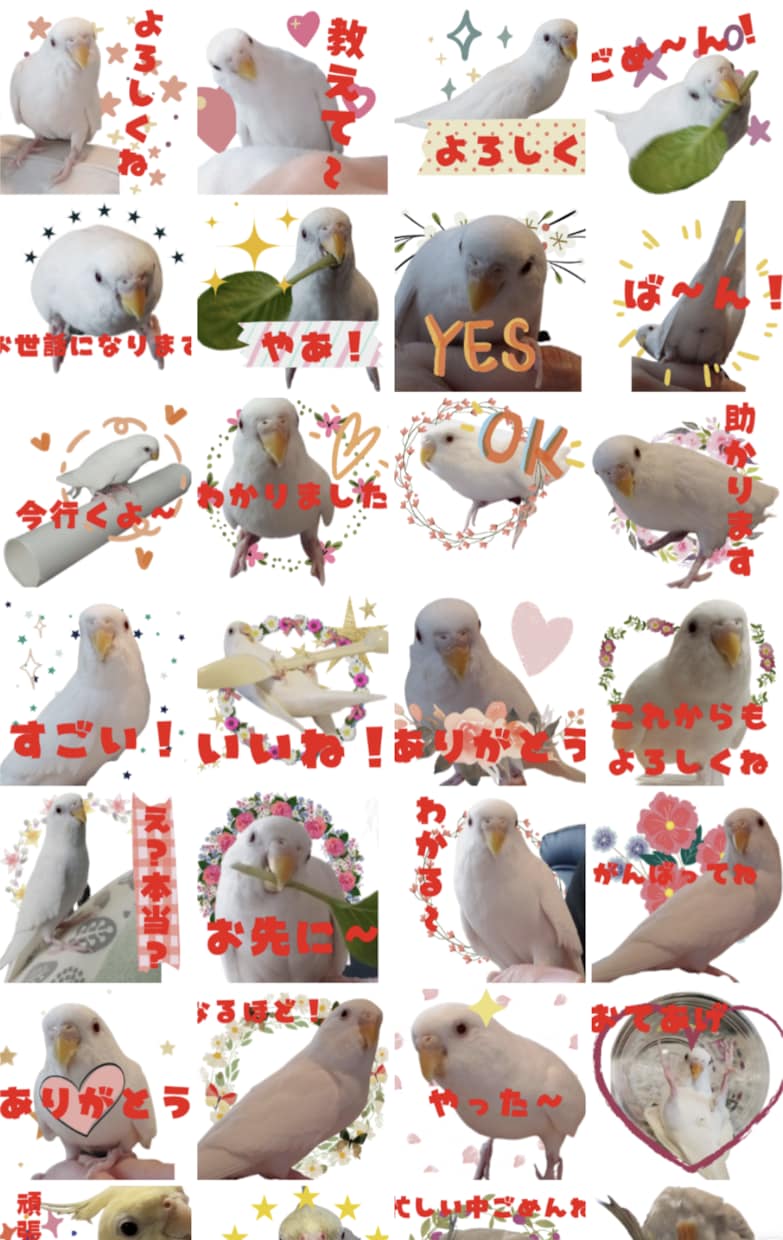 ペットの写真をかわいいラインスタンプにします ペットのオリジナルラインスタンプを低価格でお作りします イメージ3
