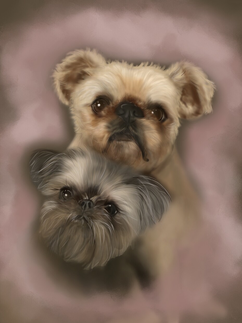 犬、猫、うさぎ、ハムスターなどのイラストを描きます 愛する家族をイラストにしませんか。 イメージ5