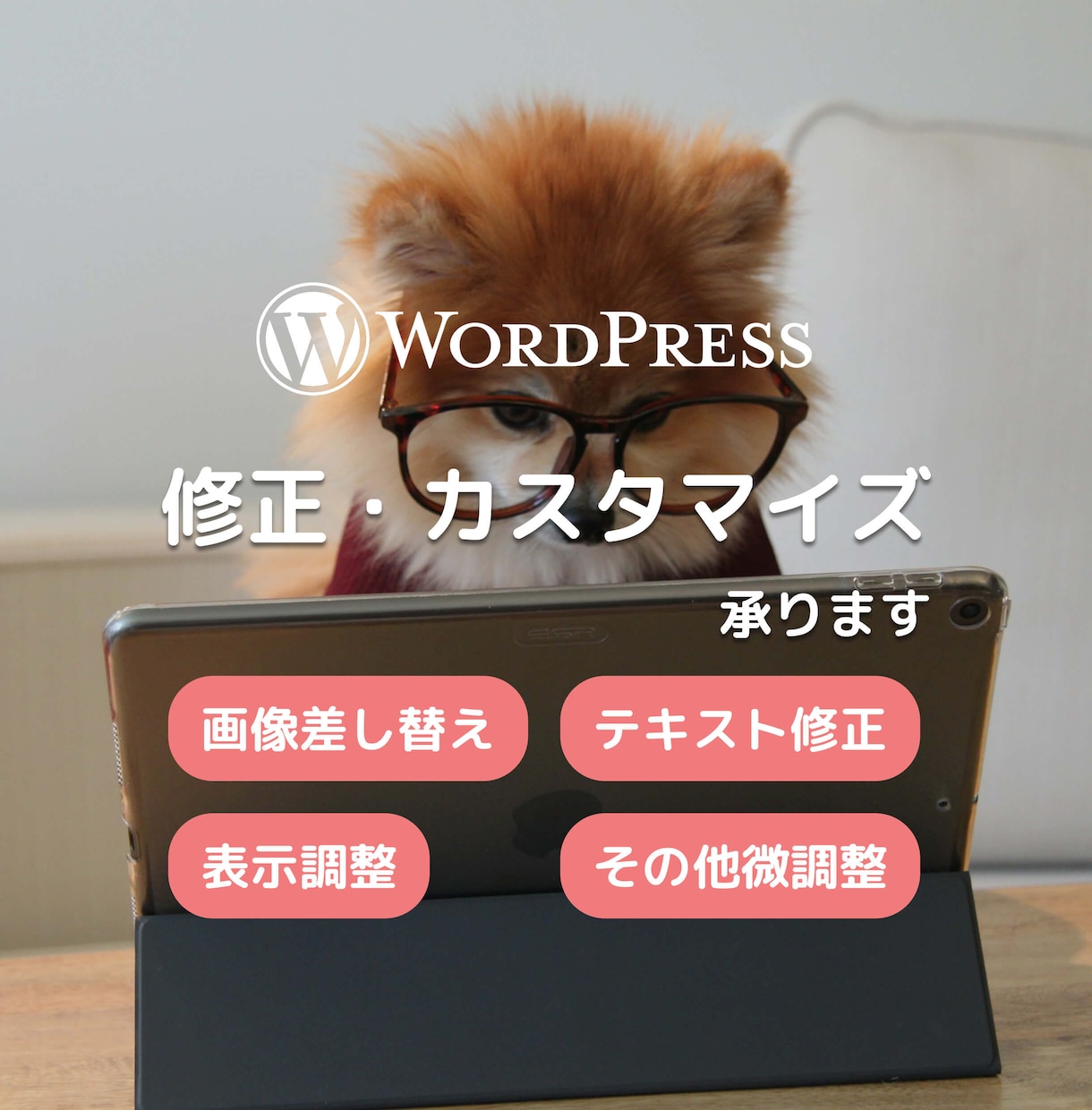 Wordpressの軽微な修正をします 小さな修正だからこそ、安心してお任せいただけるサービスです。 イメージ1