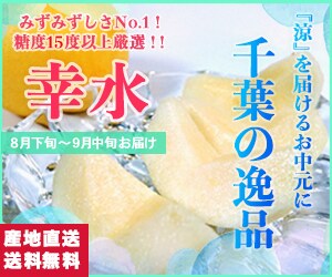 サイズ違いWebバナー広告作ります 選べる2パターン提案型！！あなたのお客さまに響くデザインを イメージ9