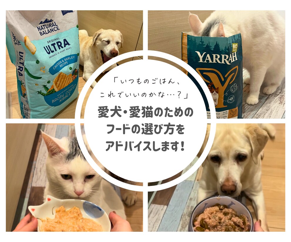 愛犬・愛猫のためのフードの選び方をアドバイスします 「ごはん、これでいいのかな…？」 イメージ1