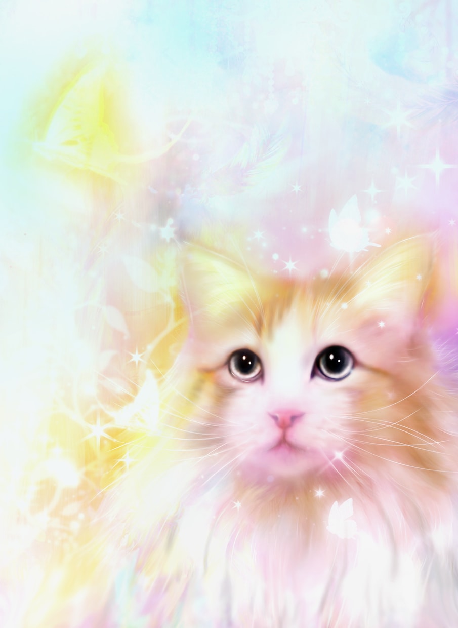 お写真からペットの可愛い似顔絵を描きます 絵本の1ページのような心温まるイラストにお仕上げします！ イメージ2