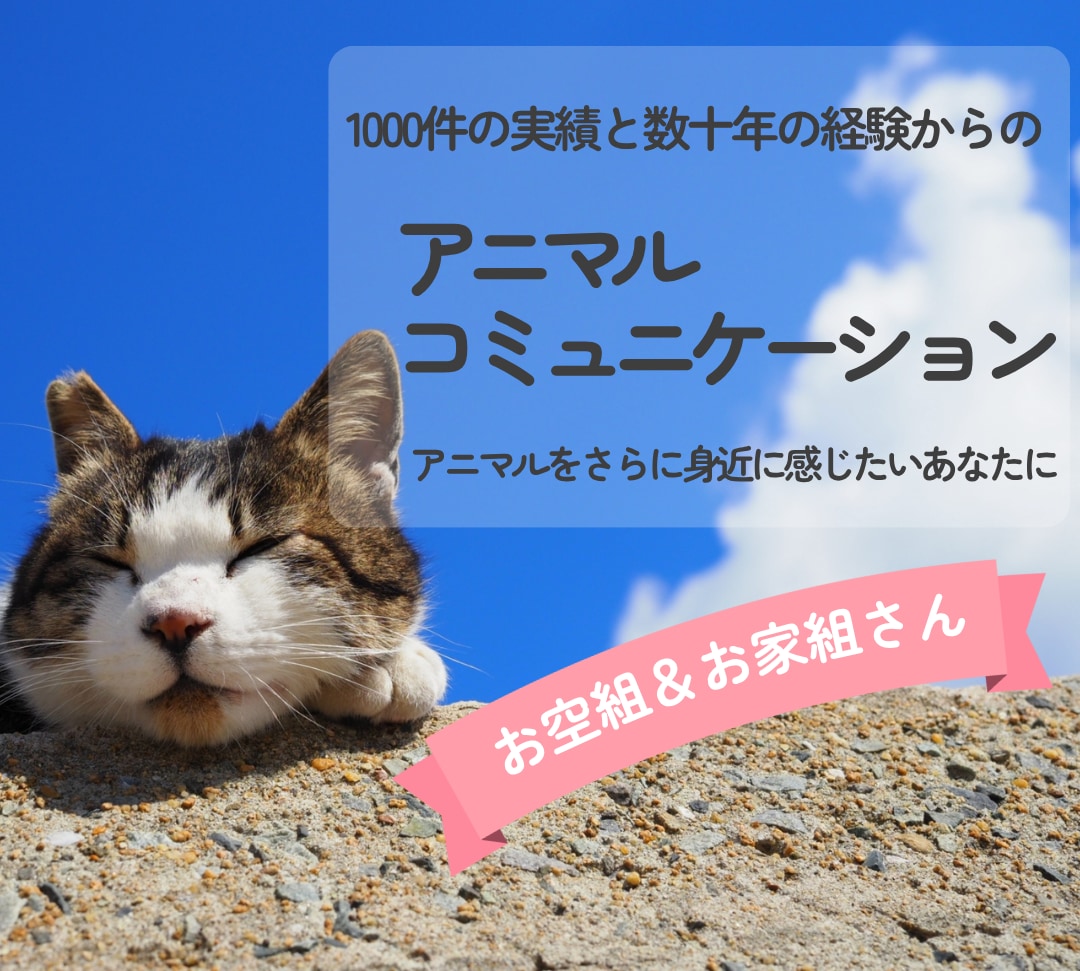 アニマルコミュニケーション（お空組さんOK）します 大切な動物の気持ちを丁寧に読み取り文章に整えてお届けします イメージ1