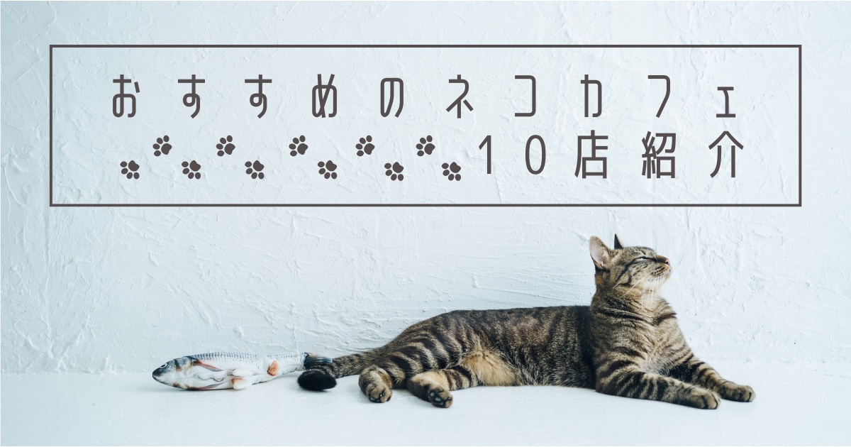5枚で2000円！ブログ用のサムネイル作ります 見栄えして同業者と差別化できるブログサムネイルを作成します！ イメージ1