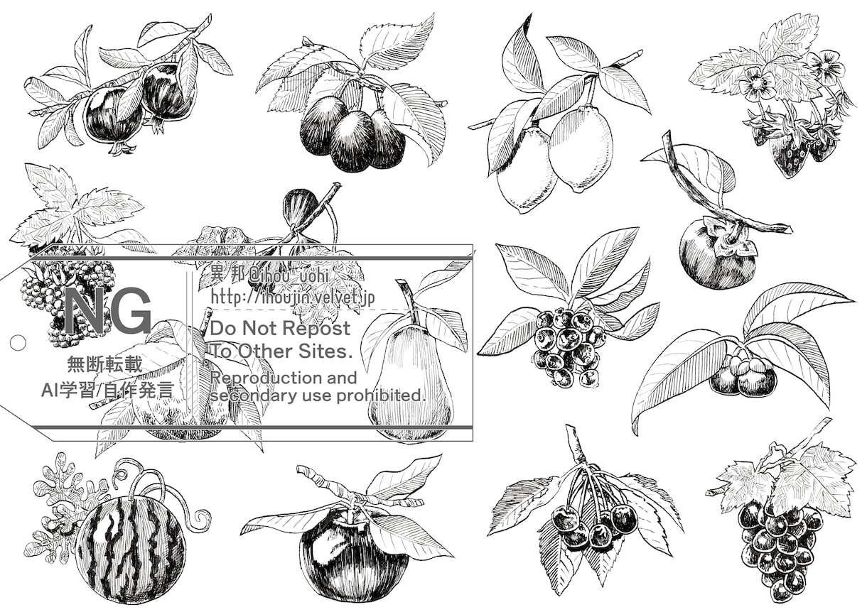 緻密なペン画イラスト描きます 植物や雑貨、民族衣装などが得意です！ イメージ5