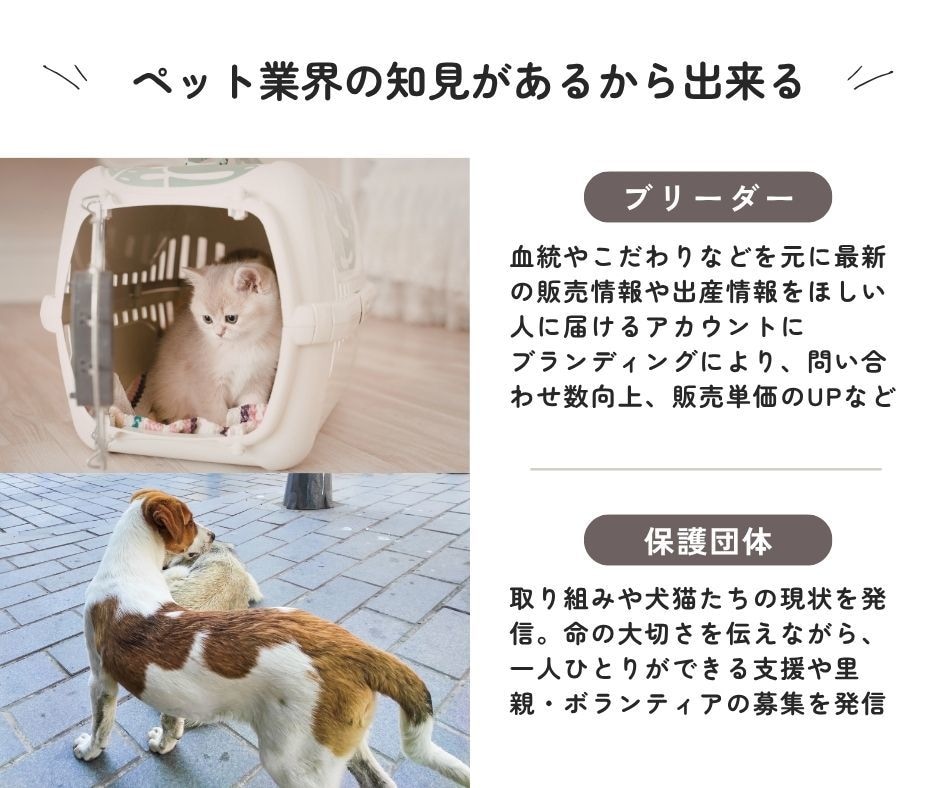 モニター価格※ペット事業のSNSスタートさせます 販売の見せ方、アカウント運用など理想をペットのプロが叶えます イメージ2