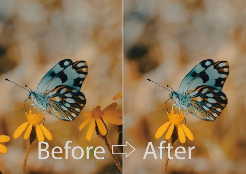 Photoshopで画像や写真の加工を行います 切り抜き、合成なんでもご相談ください。 イメージ4
