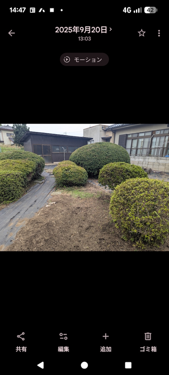 お庭や空き家の代行草刈りをします 立ち会い不要・作業前後の写真報告も可能！丁寧迅速に対応します イメージ1