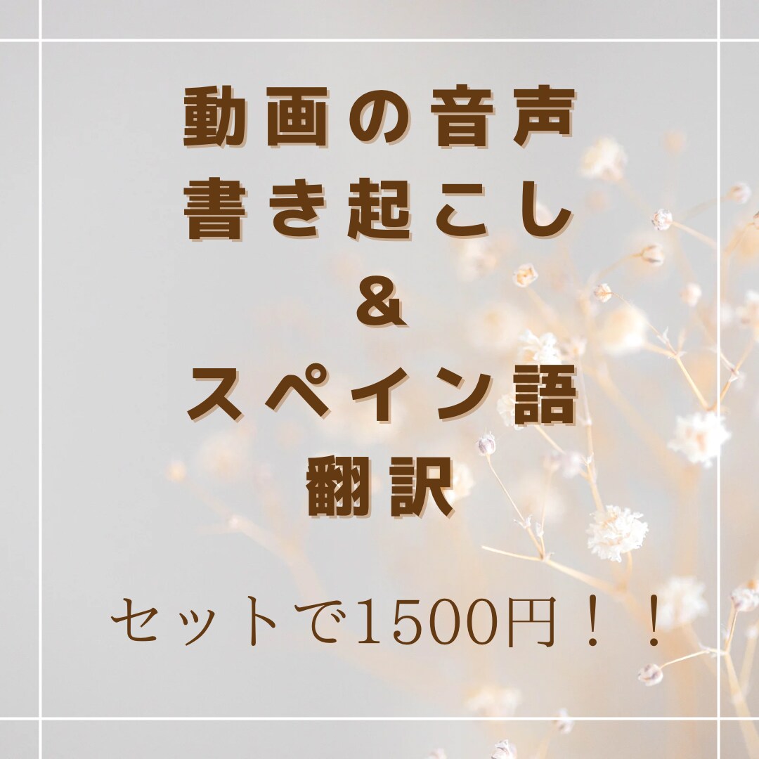 動画の音声を書き起こし＋スペイン語訳します YouTube・インスタなどの動画にスペイン語字幕をつけよう イメージ1