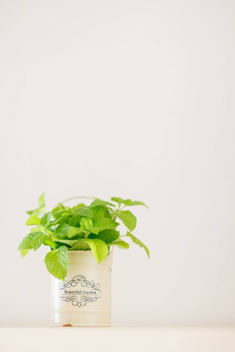タロットで恋愛・お仕事の現状を占います しっかりと、現状を視ていきませんか？？ イメージ8