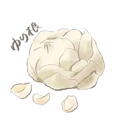 やさしい手描きの料理・食材イラストを制作します 温かみのある水彩風タッチで制作いたします。 イメージ9