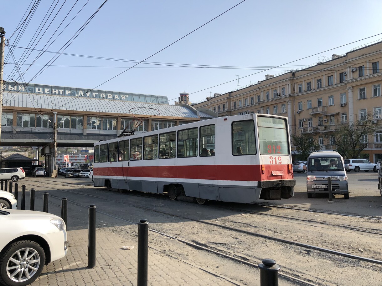 ロシア電子ビザ代行申請します シベリア方面に行かれる方へ必須の電子ビザ代行します！ イメージ3