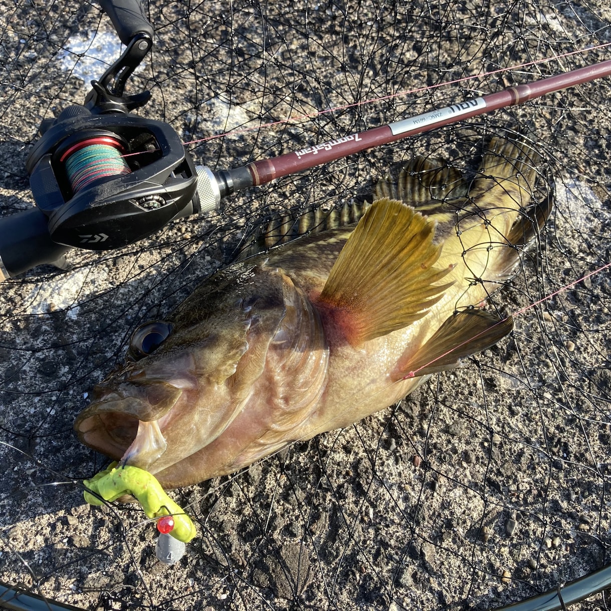釣りウェブライターが魚釣り関係の記事の執筆をします 魚釣りの知識や技術を出し惜しみなく執筆致します！ イメージ1