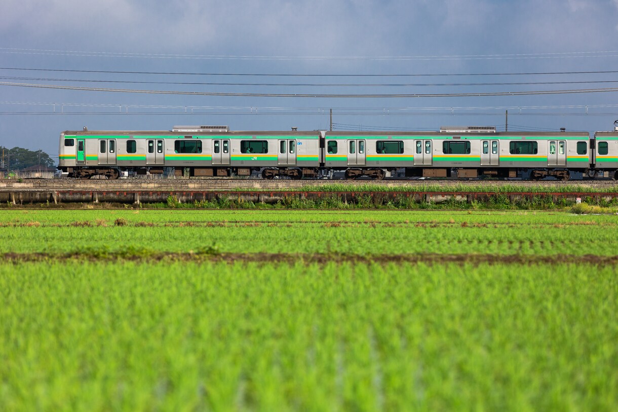 全国どこでも撮影代行します コロナ渦で外出自粛してる人や忙しい人にオススメ イメージ2