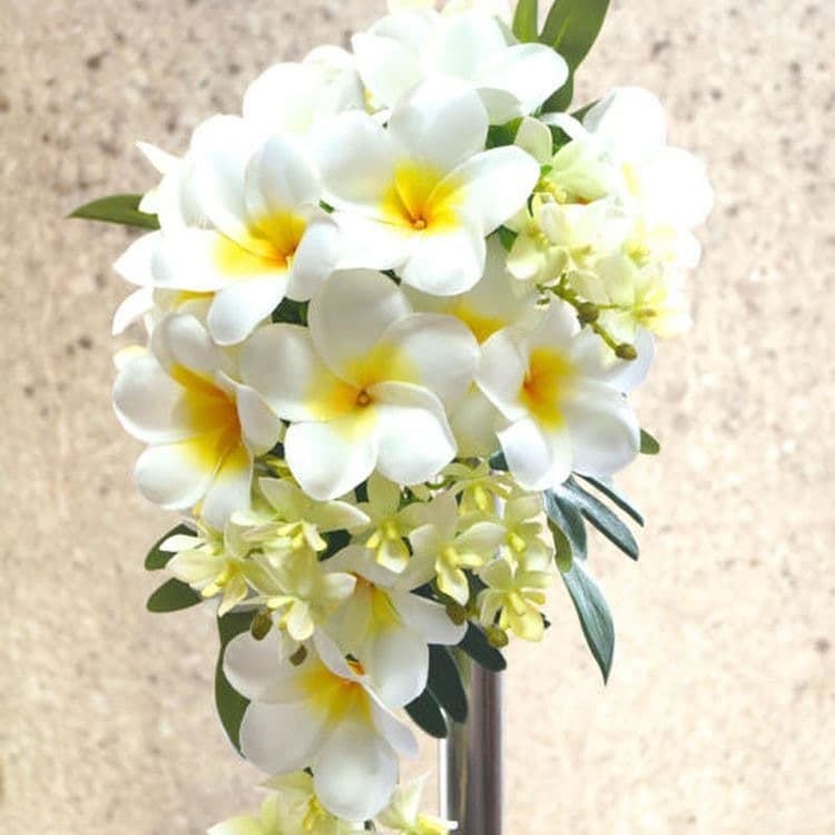 心にそっと♡寄り添って安らげる時間をつくります 心の癒しになりますようにദ്ദി ˉ͈̀꒳ˉ͈́ )✧ イメージ3