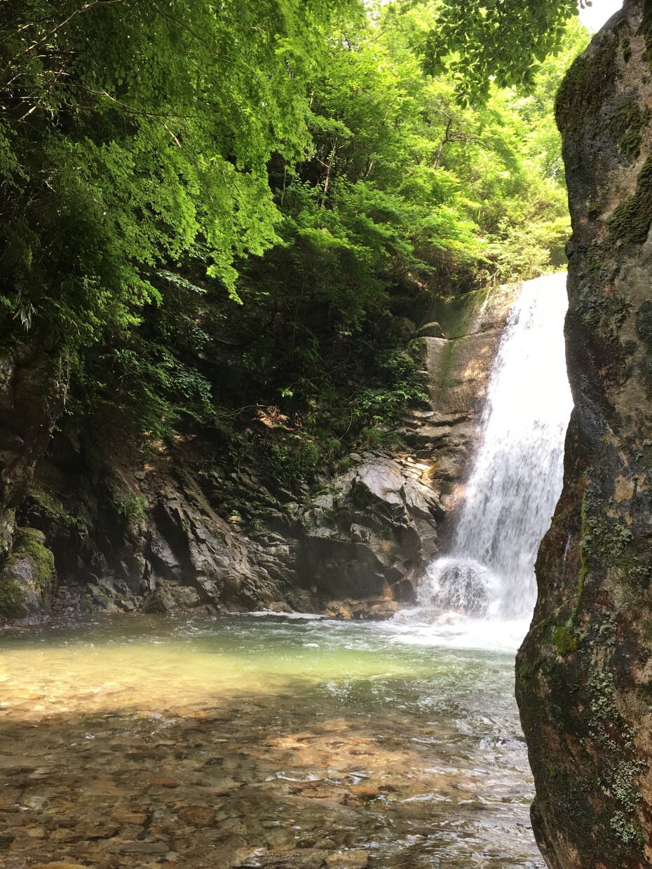 ホッと一息つきませんか？^_^なんでもお話聞きます 1分でもOK♪　秘密厳守！お悩み、愚痴などなんでも聞きます。 イメージ4