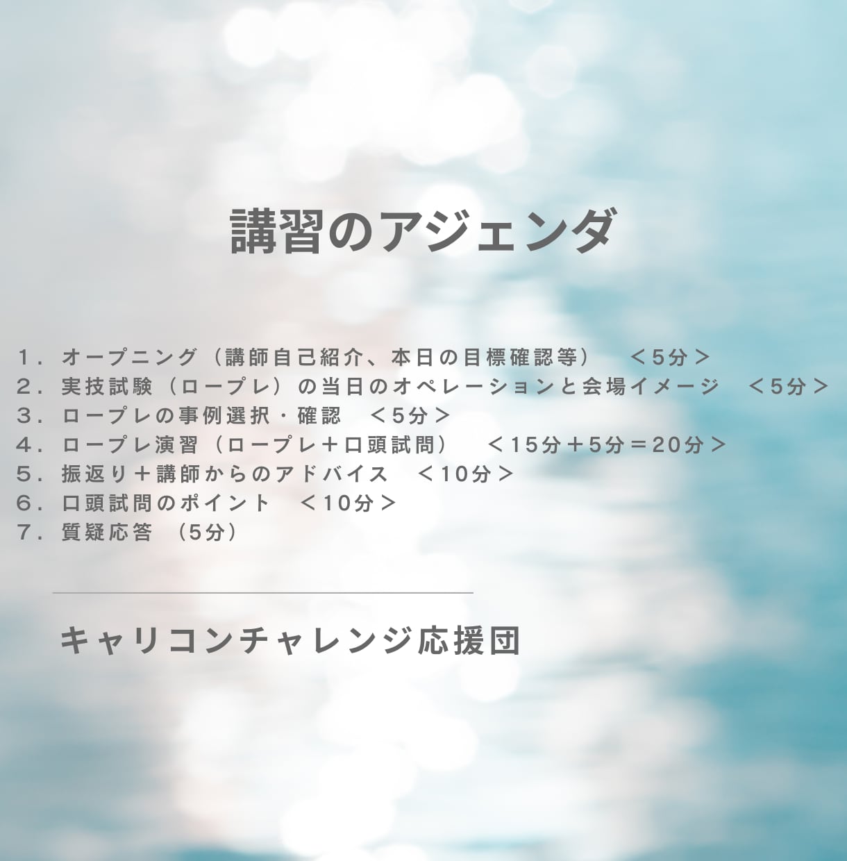 キャリコン_オールA合格者がロープレ指導実施します ロープレ・口頭試問を本番レベルで練習｜対策資料も提供します！ イメージ2