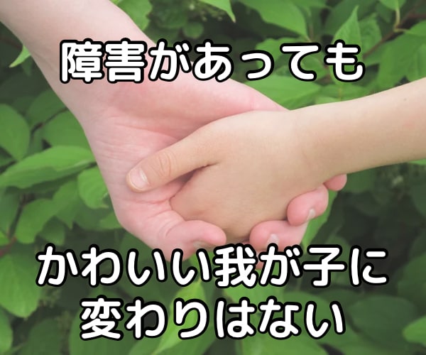 子どもの発達障害、学習障害のご相談にのります ADHD/ASD/学習障害/療育/支援級/子育て/進学 イメージ2