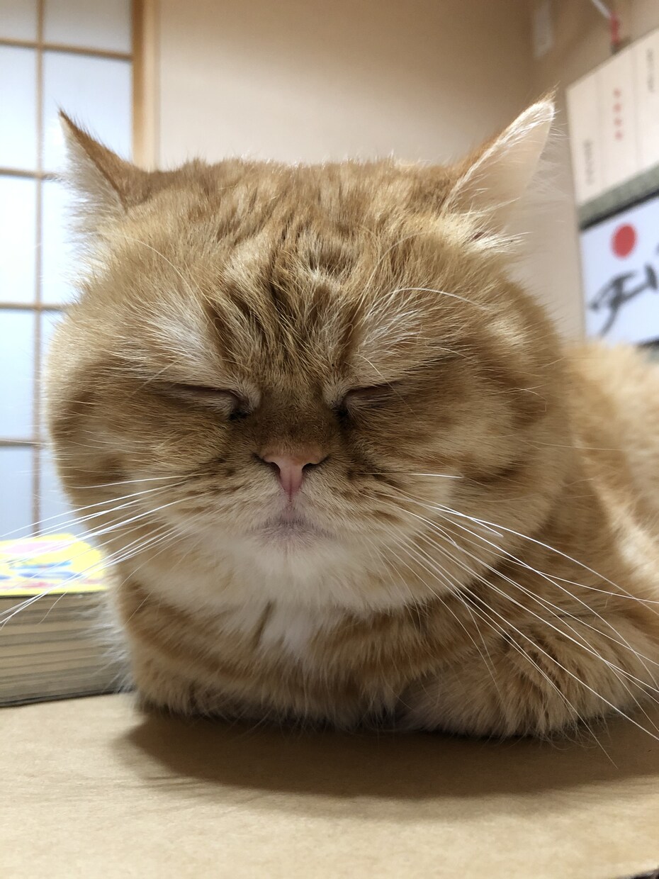 あなたの心のメッセージに返事を送ります 不安　辛い気持ち　イライラ　モヤモヤ　吐き出したい方 イメージ9