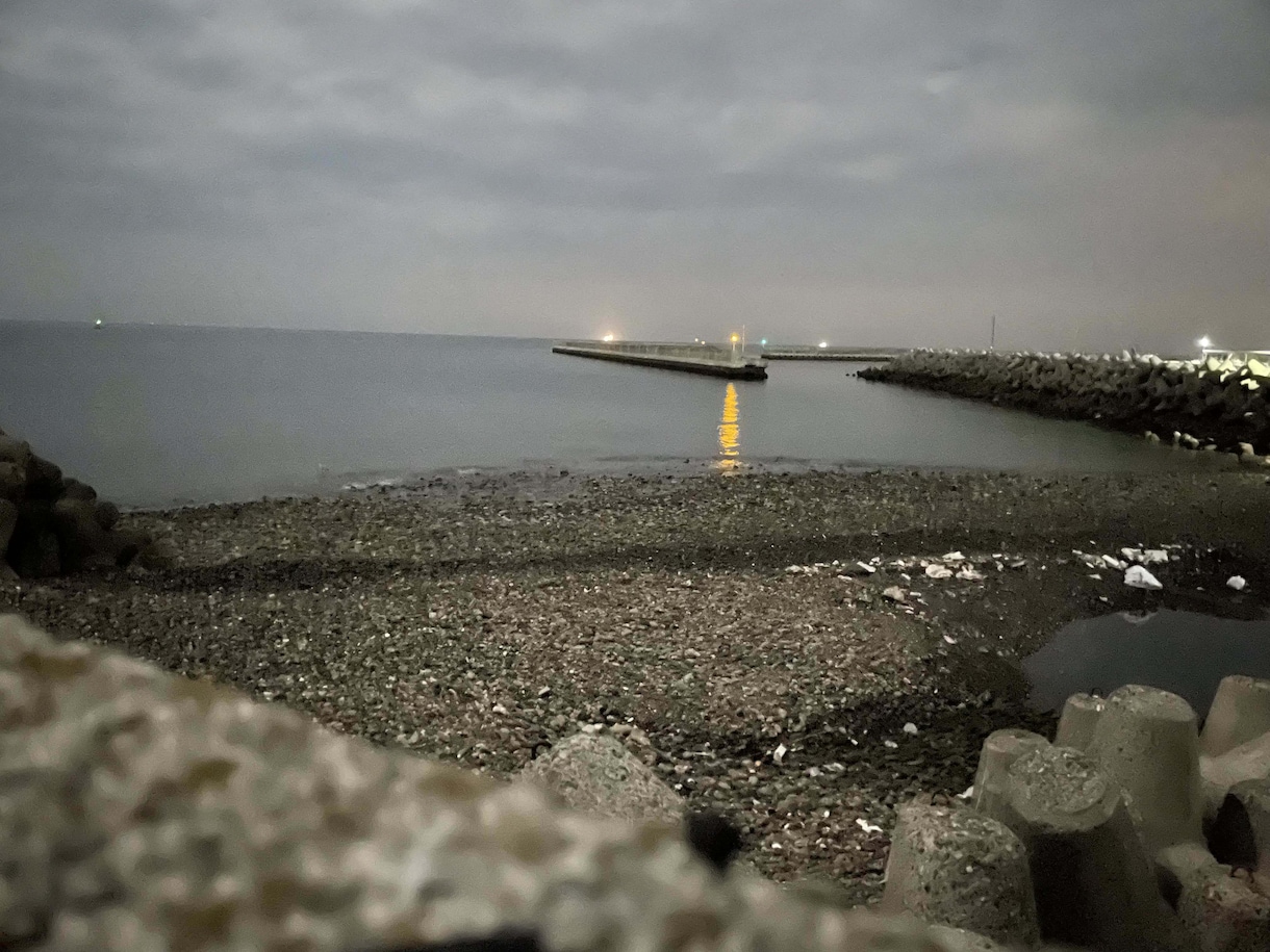 海みたいに深くても、静かでも、騒がしくても聞きます なんでも聞かせてください。砂浜に落ちてた貝の話でも。 イメージ1