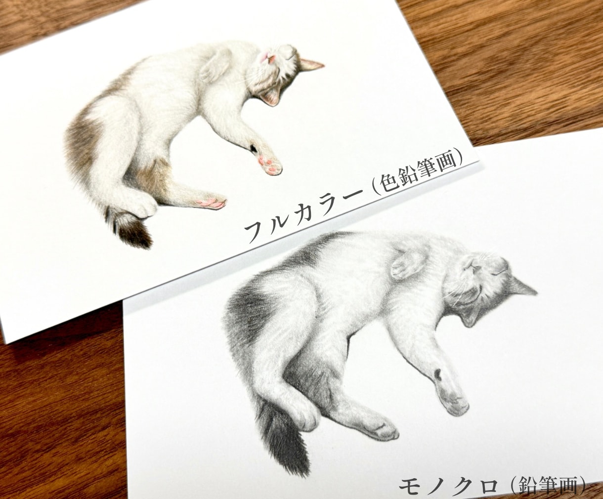 大切なペットとの思い出を鉛筆・色鉛筆画にします 大切な家族との幸せな時間を、温もりある作品として残します イメージ8