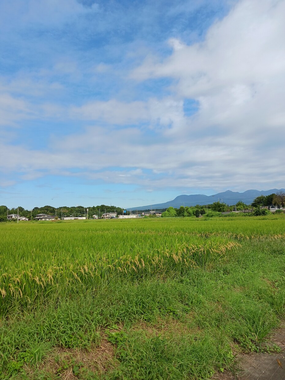 保育、子供分野のレポート・小論文作成支援 します AI使用無し！最良・最安、迅速・丁寧がモットーです♪ イメージ2