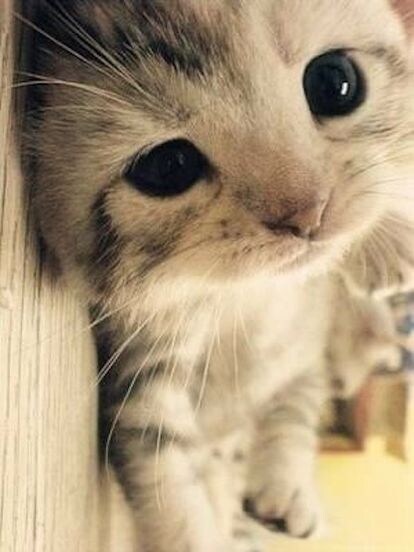 お気軽にお話ききます まだまだお話など慣れないこと多いですがよろしくお願いします。 イメージ1