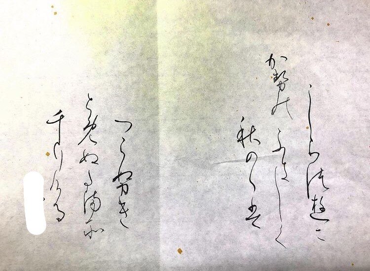 硬筆・毛筆どちらも！作品など文字の添削いたします 小学校教諭の方、作品を制作している方、名前を綺麗に書きたい方 イメージ1