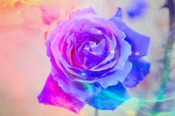 １枠限定！✿*: 究極の雫✨薔薇結びを行います 強力な密魔術。スピリチュアル鑑定付きでスペシャル縁結び♡ イメージ3