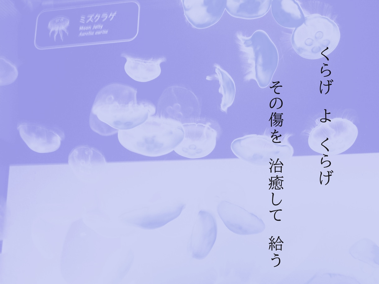 イラストや写真に詩を載せます HPに載せた作品や自作の絵に詩を載せます イメージ1