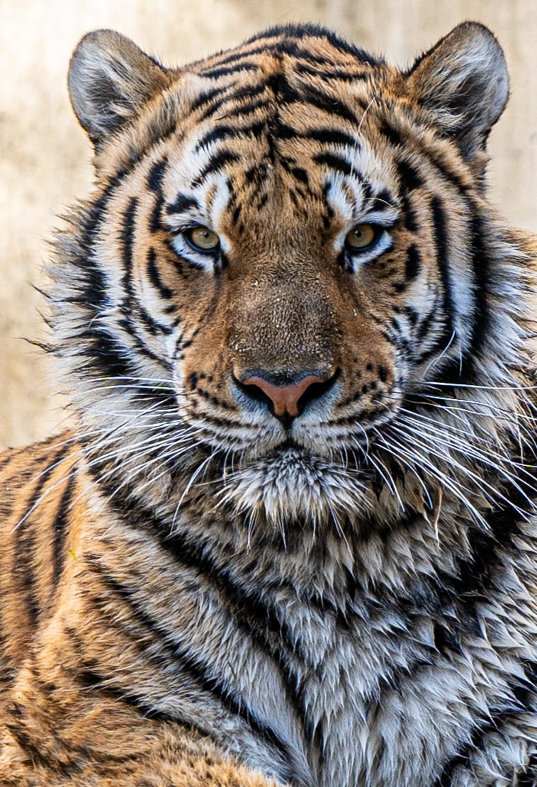 写真撮影しに行きます 行けない人に変わって出張撮影してきます イメージ2