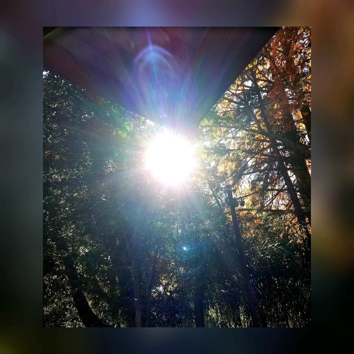 5分でもお話をうかがい波動調整ヒーリングを送ります ✨心身を癒やし脳を整えるハッピーヒーリング電話をいたします♡ イメージ6