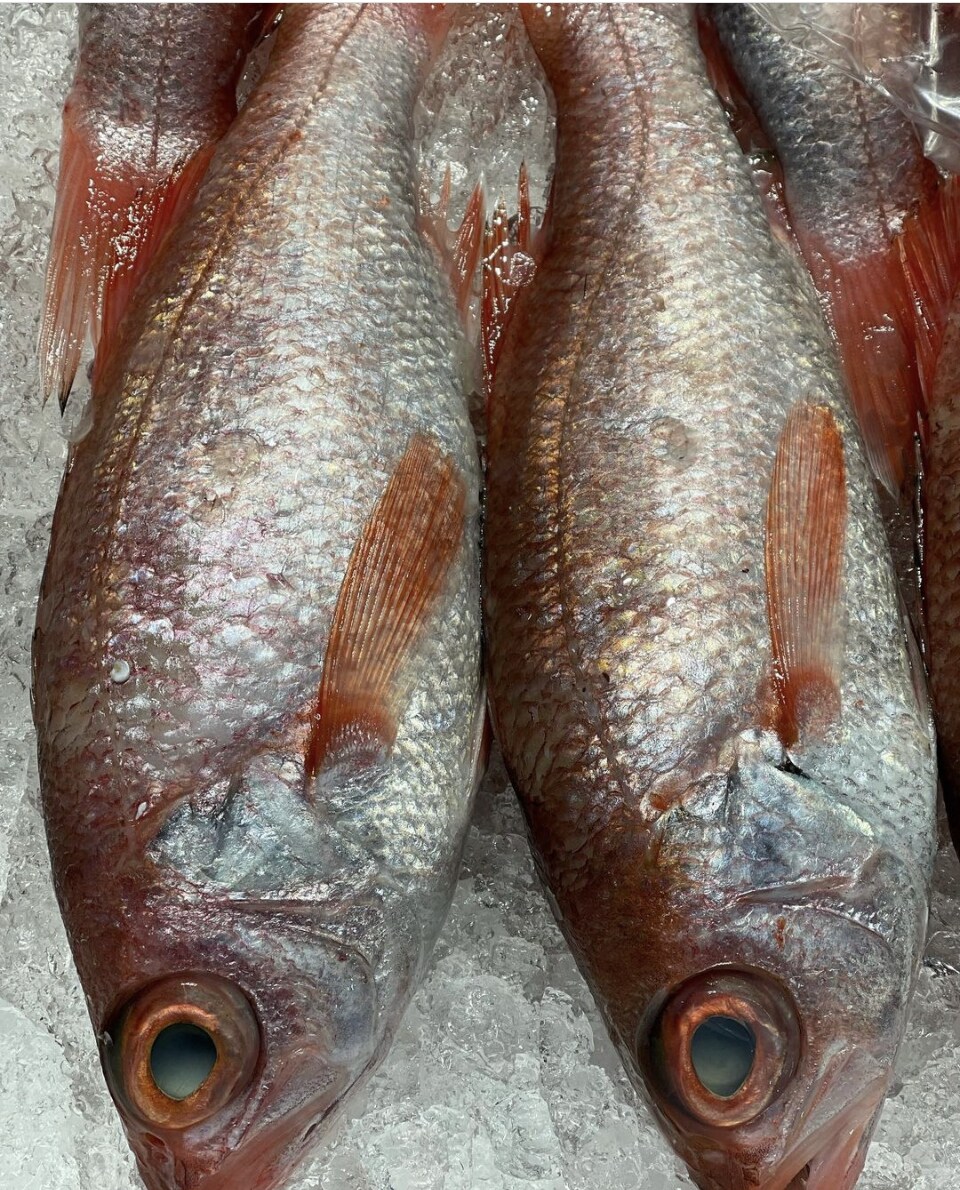 魚介類の目利き、美味しく調理するポイント教えます 魚屋で働き魚介専門店で働いた経験を基に的確なアドバイスを❗️ イメージ1