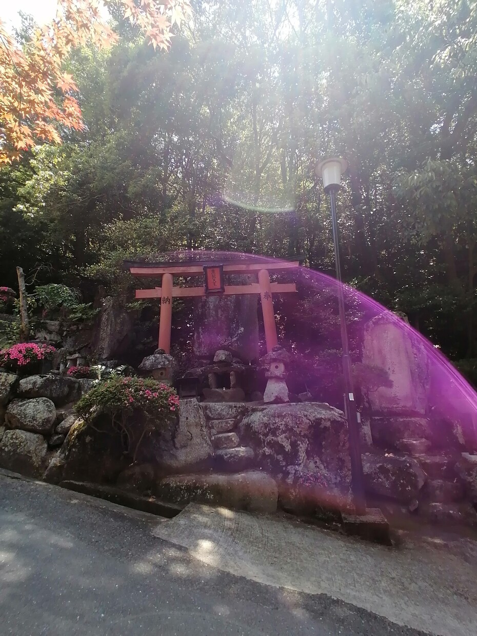 神社写真 撮影代行いたします 八百万の神々のことだまを切り撮る一枚を！ イメージ6