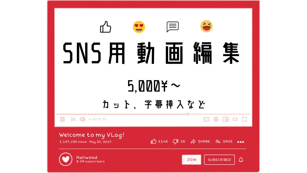 SNS用動画編集をします いいセンス、アニメーション付き文字起こし動画 FOR YOU イメージ1