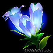 光り導く！運命改善のサポートをします ☆リピーター様専用☆　霊術＋潜在意識からのアドバイス イメージ1
