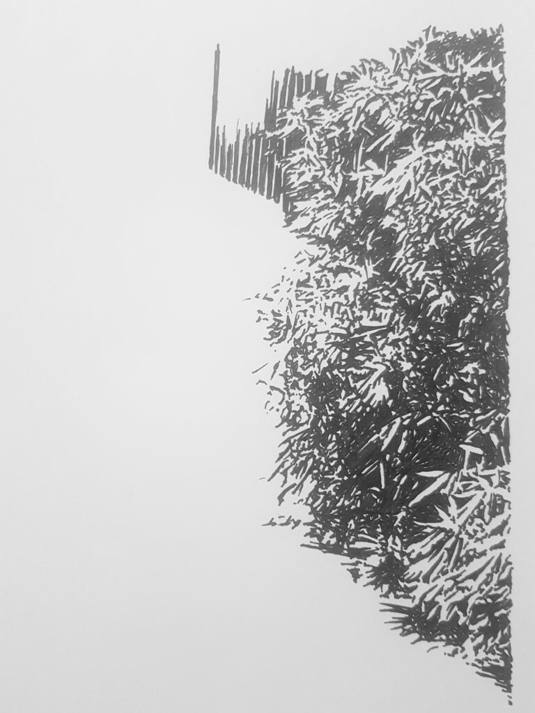 ボールペン画(主に電柱や風景)を描きます モノクロイラスト好きな方にオススメです。ベタ塗り無し。 イメージ8