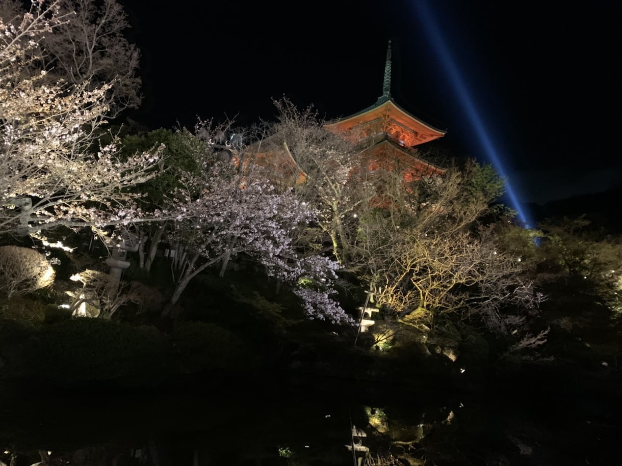 風景画や俳句にお役立ち！京都の絶景をお届けします ご希望の季節、天気、時間に合わせた写真/動画をお送りします！ イメージ1