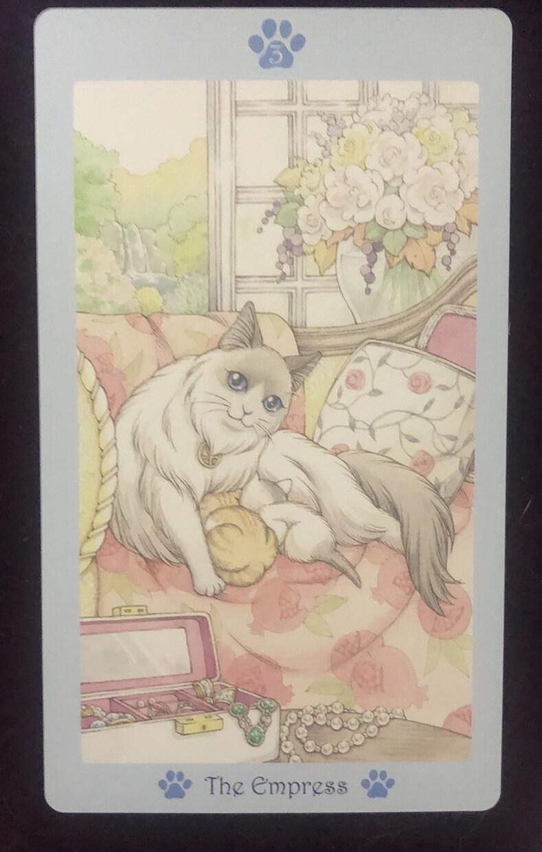 チャネリングタロットであの人の気持ちを占います 恋の悩みに寄り添う♡心強いタロット恋愛占い♡ イメージ4